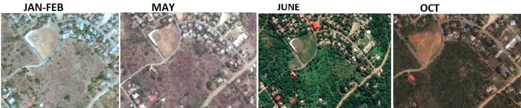 Googleearth SEASONS MONTHS GREEN
