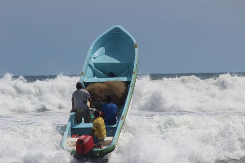 Fish Trip EL Transito
