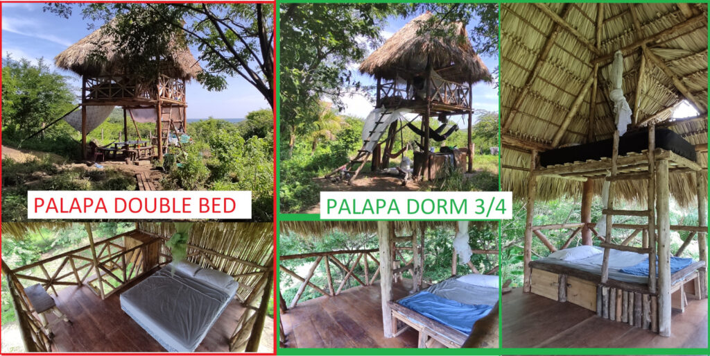 PALAPA DOUBLE MINIDORM4 fullWEB