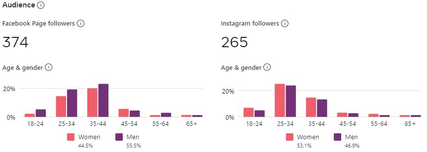 FB INSTA Audience