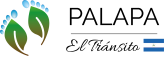 Palapa